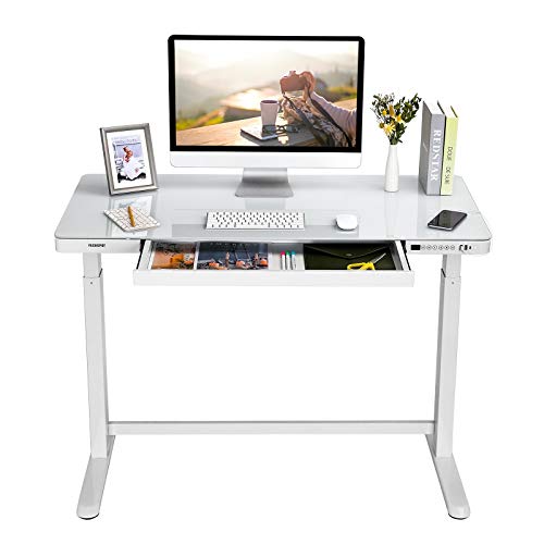 FLEXISPOT EG8 Elektrisch Höhenverstellbarer Schreibtisch mit Touch Funktion & USB, Elektrischer Schreibtisch, Glas Tischplatte